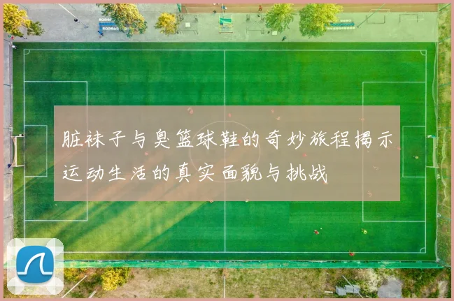 脏袜子与臭篮球鞋的奇妙旅程揭示运动生活的真实面貌与挑战