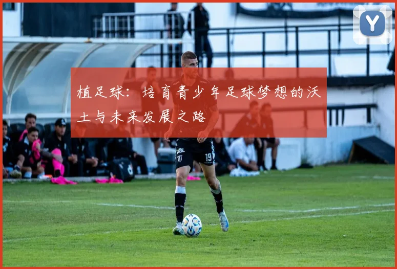 植足球：培育青少年足球梦想的沃土与未来发展之路