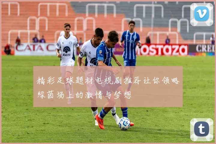 精彩足球题材电视剧推荐让你领略绿茵场上的激情与梦想