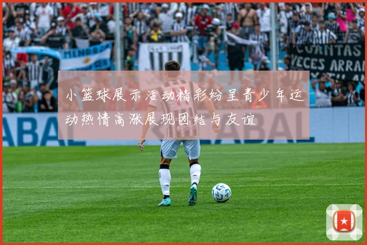 小篮球展示活动精彩纷呈青少年运动热情高涨展现团结与友谊